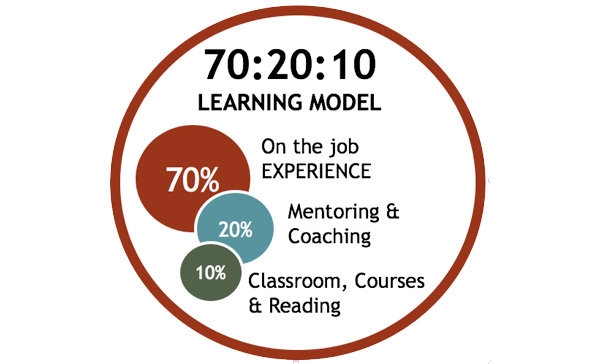 SalesMoose 70:20:10 Learning Model